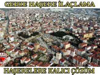 gebze böcek ilaclama