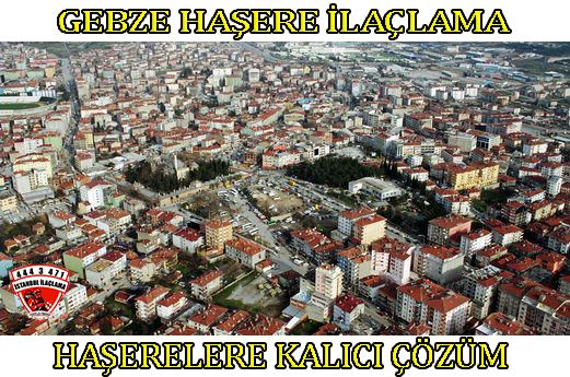 gebze böcek ilaclama gebze böcek ilaclama