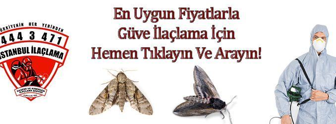 güve güve