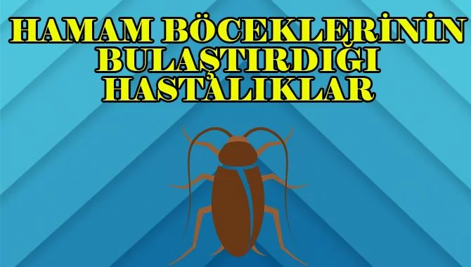 hamam böcekleri hastalık