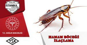 hamam böceği ilaçlama