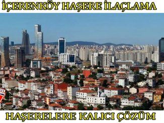 içerenköy böcek ilaclama