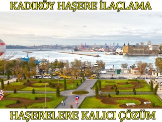 kadıköy-böcek-ilaçlama