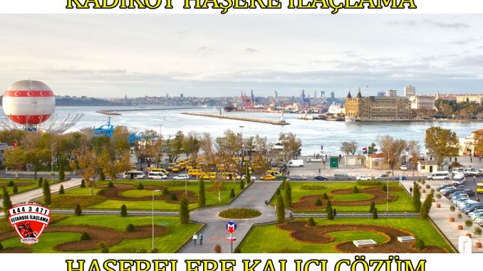 kadıköy-böcek-ilaclama kadıköy-böcek-ilaçlama