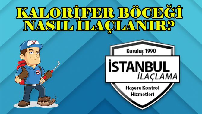 kalorifer böceği kalorifer-böceği