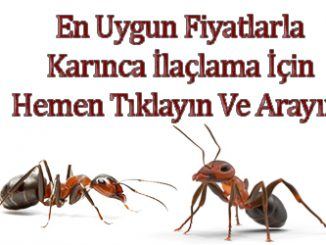 karınca, karınca-ilaçlama