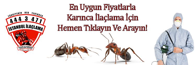 karınca, karınca-ilaçlama