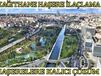 kağıthane böcek ilaclama