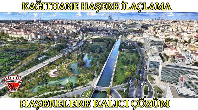 kağıthane-böcek-ilaclama kağıthane böcek ilaçlama, haşere ilaçlama
