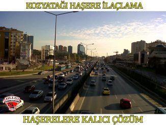 kozyatagı böcek ilaclama