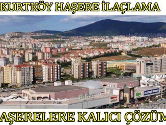 kurtköy böcek ilaclama
