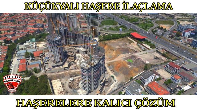 küçükyalı-böcek-ilaclama