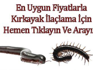 kırkayak