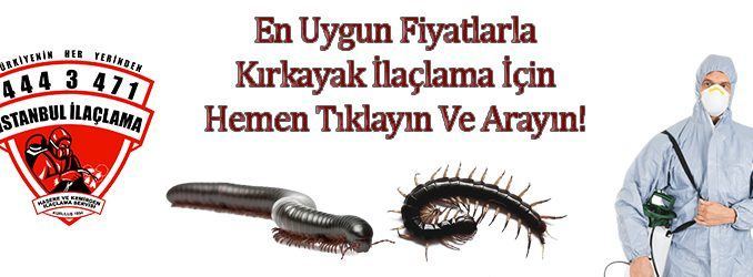 kırkayak kırkayak