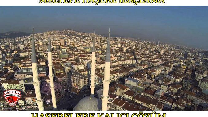 maltepe böcek ilaclama maltepe böcek ilaclama