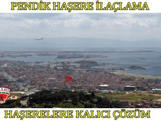 pendik-böcek-ilaçlama