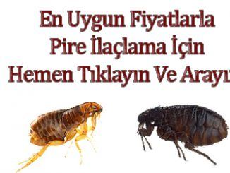 pire ilaclama