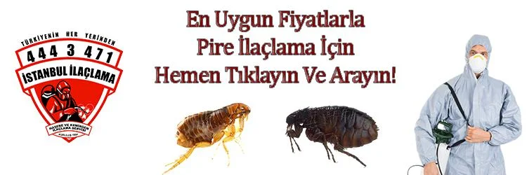 pire-ilaçlama, pire, pire-ısırığı