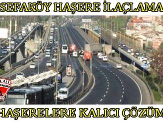 sefaköy böcek ilaclama