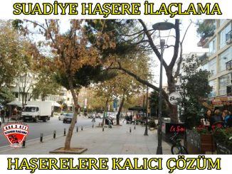 suadiye böcek ilaclama