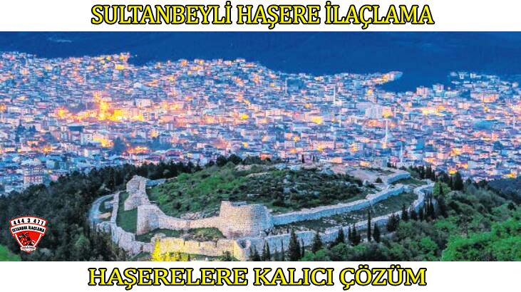 sultanbeyli-böcek-ilaçlama