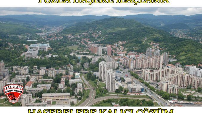 tuzla-böcek-ilaclama tuzla-böcek-ilaclama, tuzla-böcek-ilaçlama