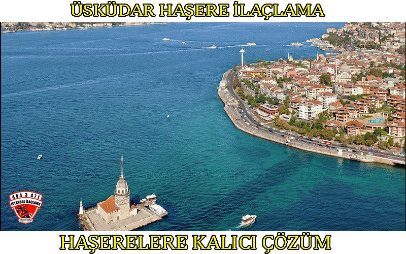 uskudar-böcek-ilaclama, uskudar-böcek-ilaçlama