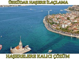 uskudar-böcek-ilaclama, uskudar-böcek-ilaçlama