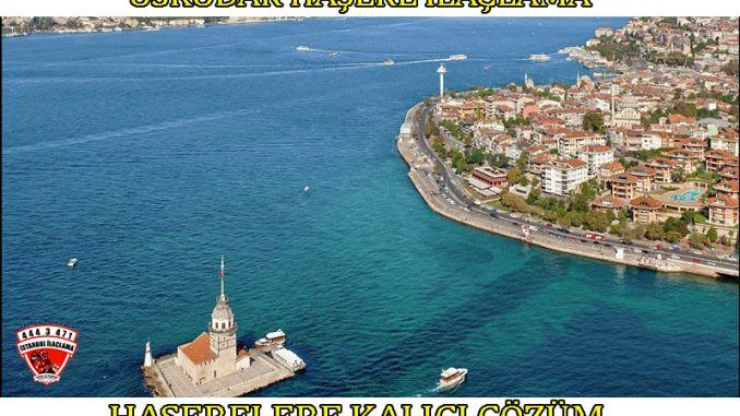 uskudar böcek ilaclama uskudar böcek ilaclama