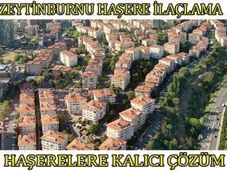 zeytinburnu böcek ilaclama