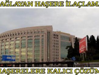 ağlayan böcek ilaclama