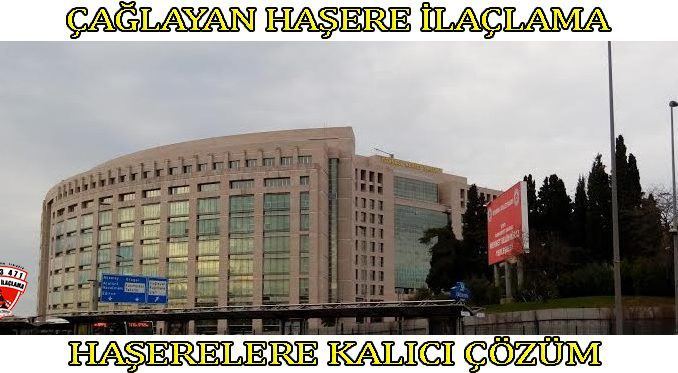 ağlayan böcek ilaclama ağlayan böcek ilaclama