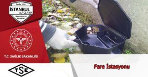 fare istasyonu