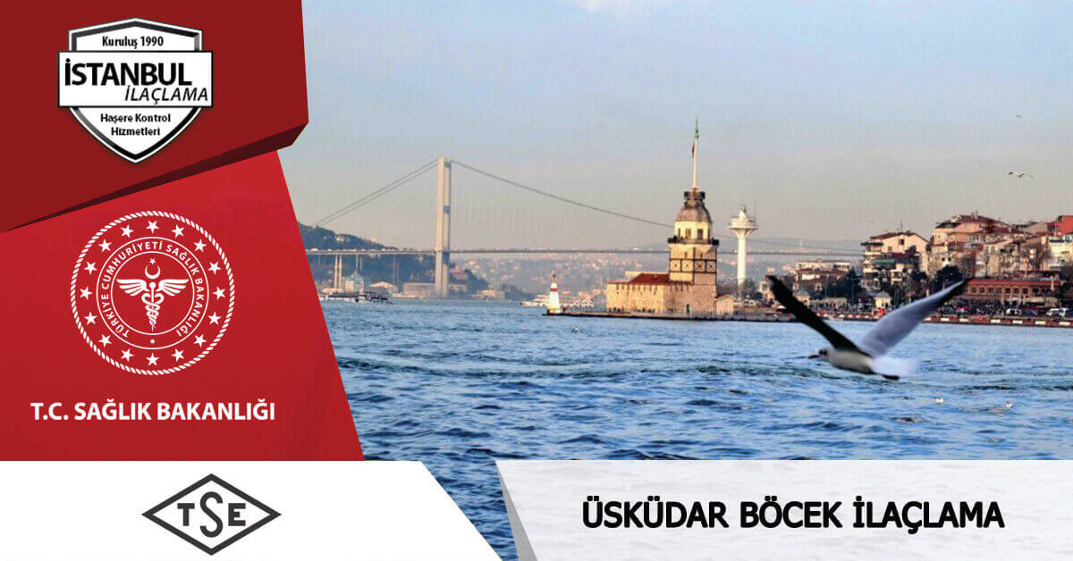 Böcek ve haşere ilaçlama
