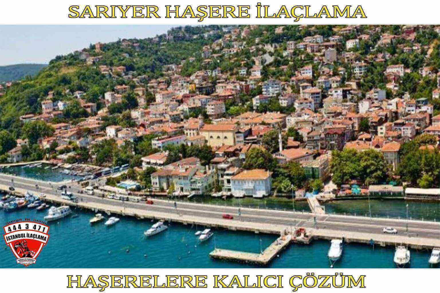 Böcek ve haşere ilaçlama