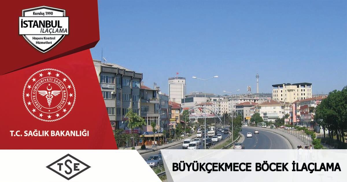 Böcek ve haşere ilaçlama