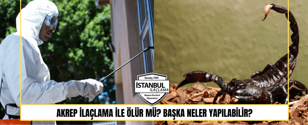 Akrep ilaçlama ile ölür mü Başka Neler yapılabilir
