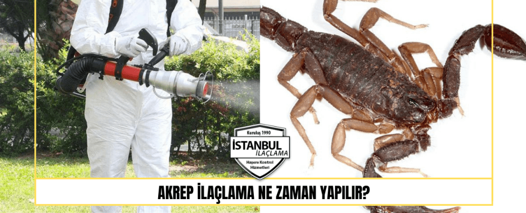 Akrep ilaçlama ne zaman yapılır