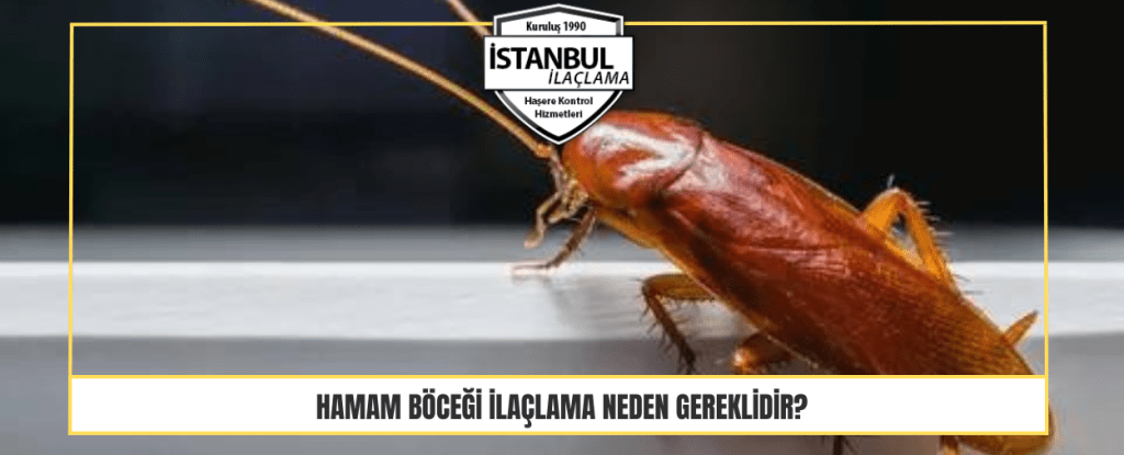 Hamam Böceği ilaçlama Neden Gereklidir