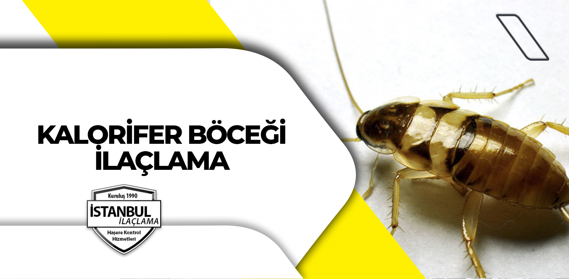 Kalorifer Böceği İlaçlama