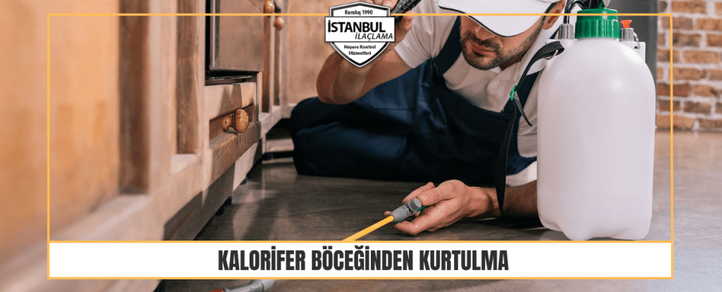 Kalorifer Böceğinden Kurtulma