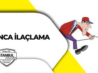 Karınca ilaçlama
