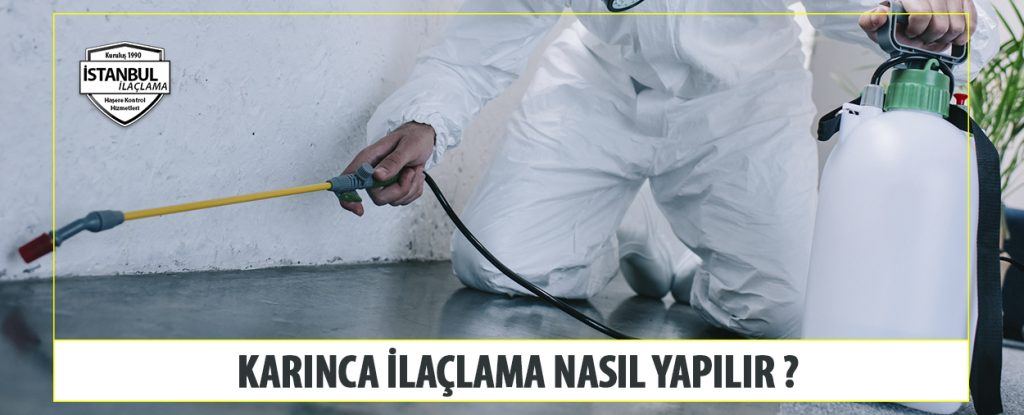 Karınca ilaçlama nasıl yapılır