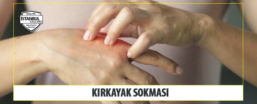 Kırkayak Sokması
