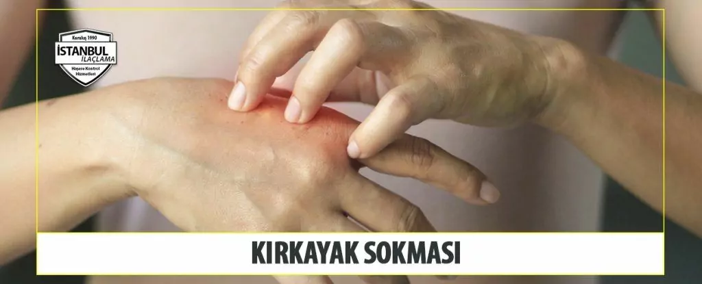 Kırkayak Sokması