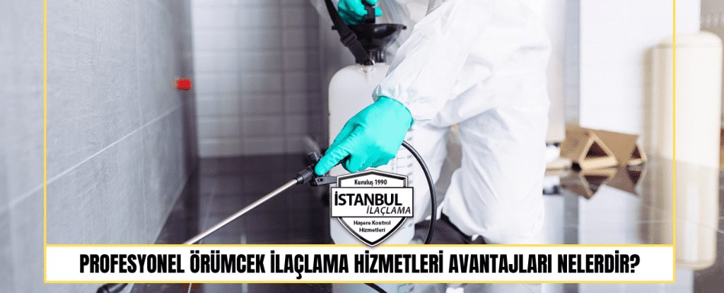 Profesyonel Örümcek İlaçlama Hizmetleri Avantajları Nelerdir