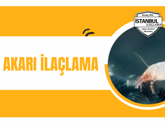 Toz akarı ilaçlama