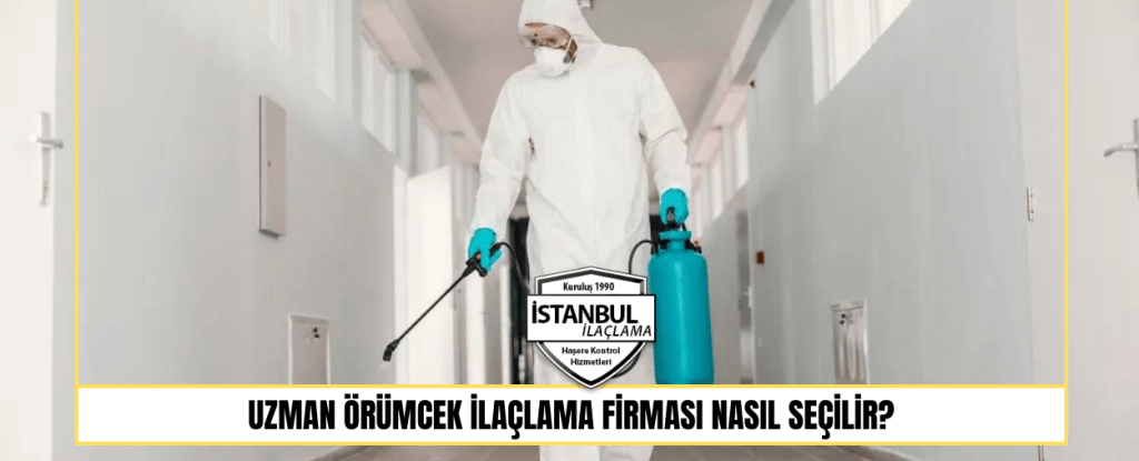 Uzman Örümcek İlaçlama Firması Nasıl Seçilir