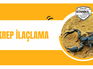 akrep ilaclama istanbulilaclama com