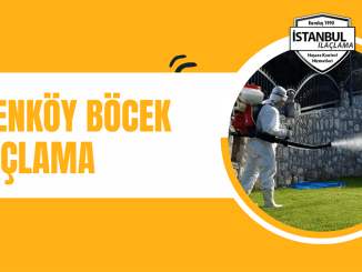 Erenköy böcek ilaçlama